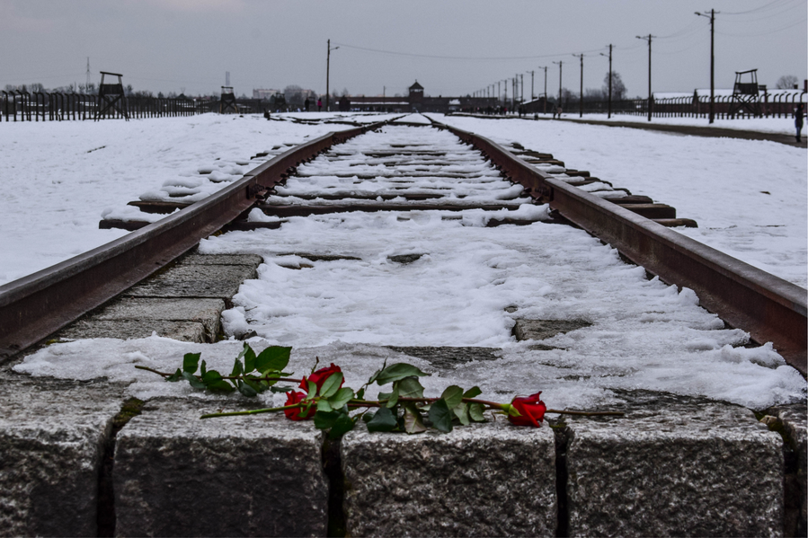 SHOAH: MEMORIA E FUTURO